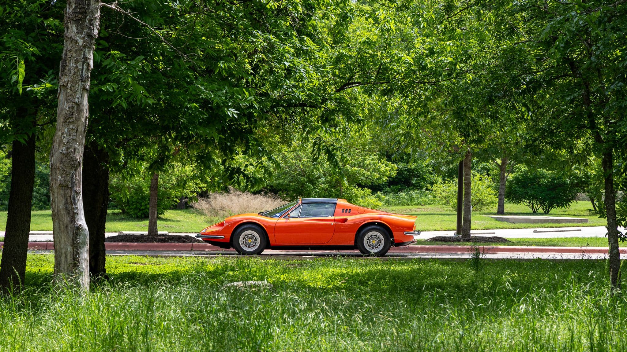 Orange Dino Car Photography